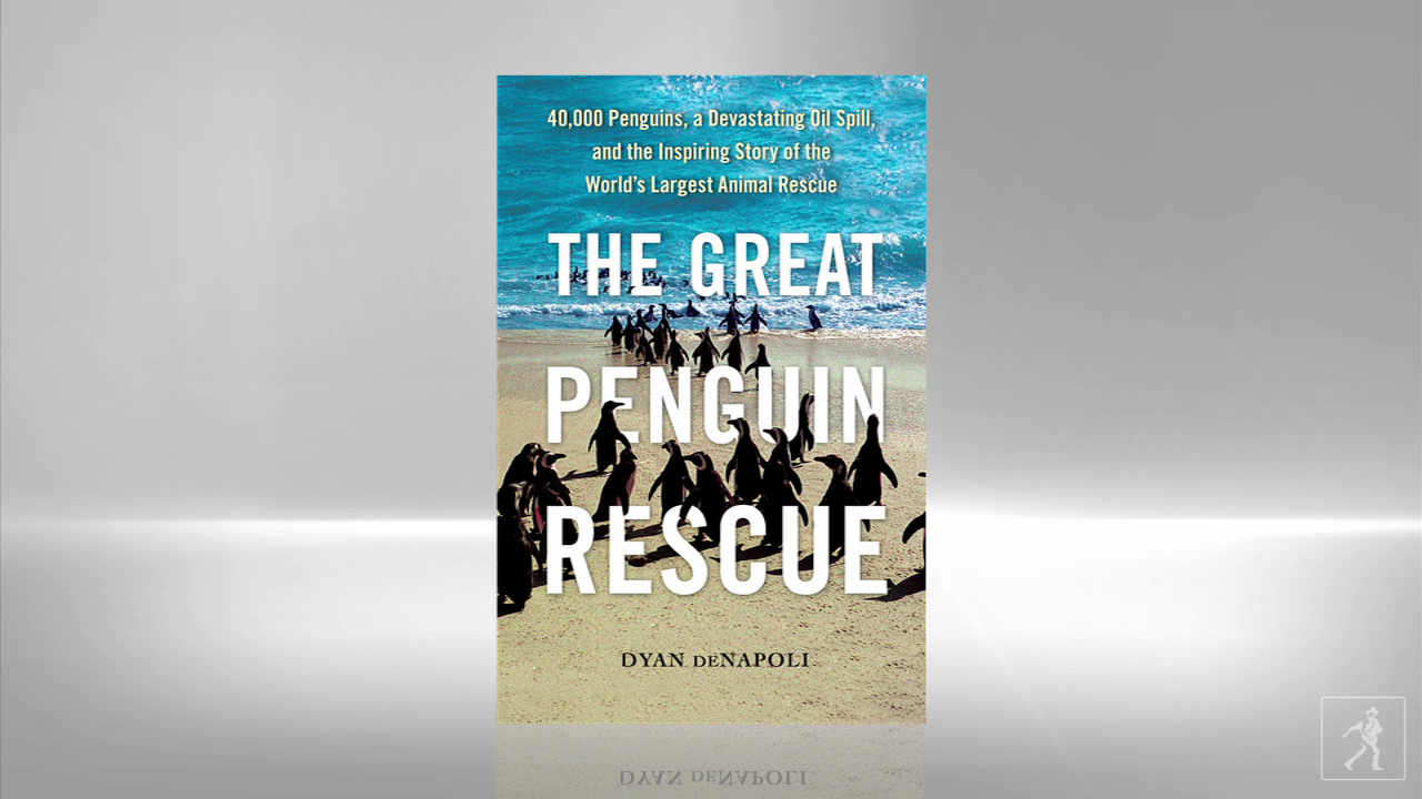 Be inspired by THE GREAT PENGUIN RESCUE