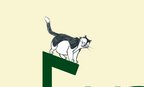 Fun With FUDDLES