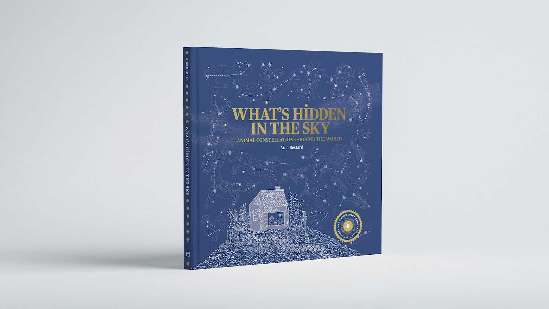 What's Hidden in the Sky? | Book Trailer