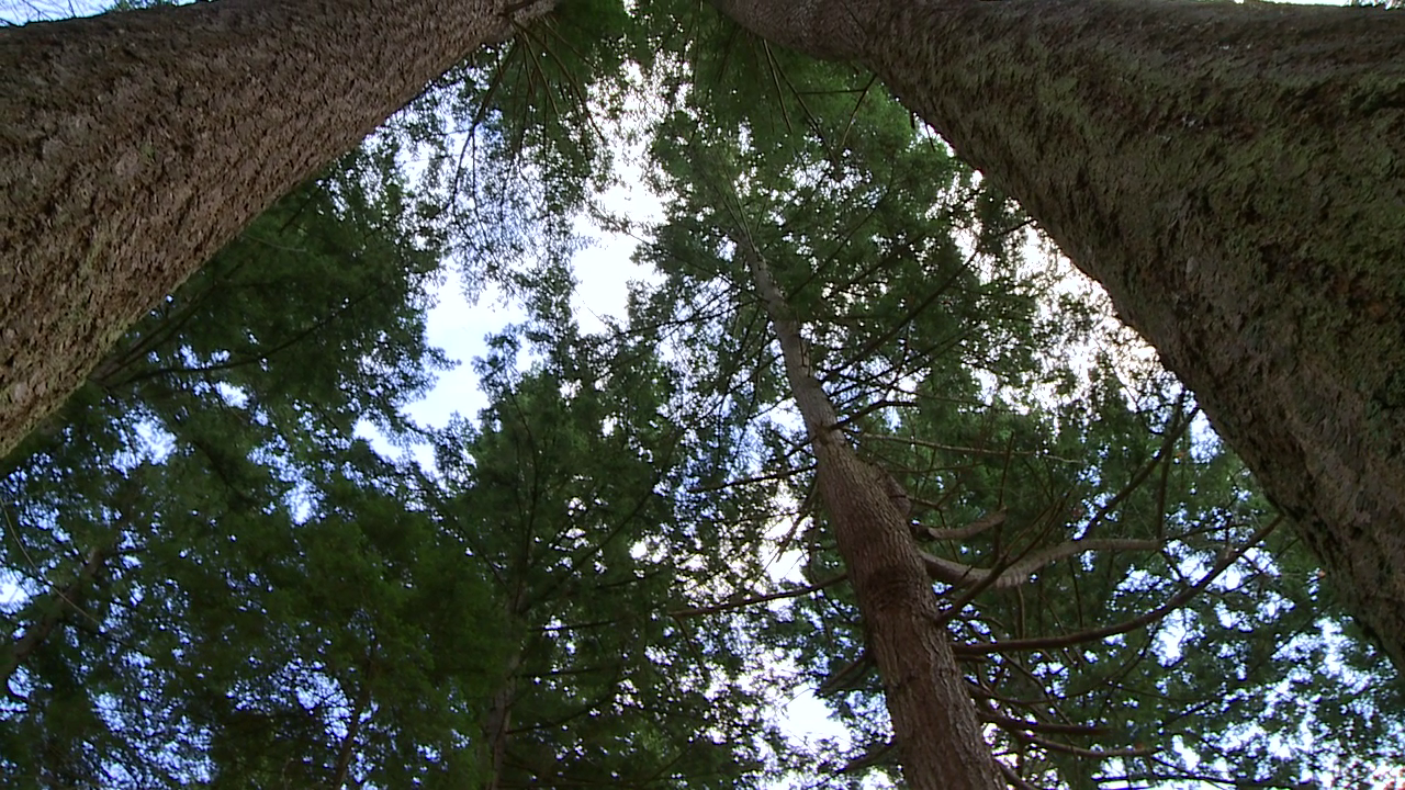 Explore the Pacific Northwest in a New Novel by Garth Stein