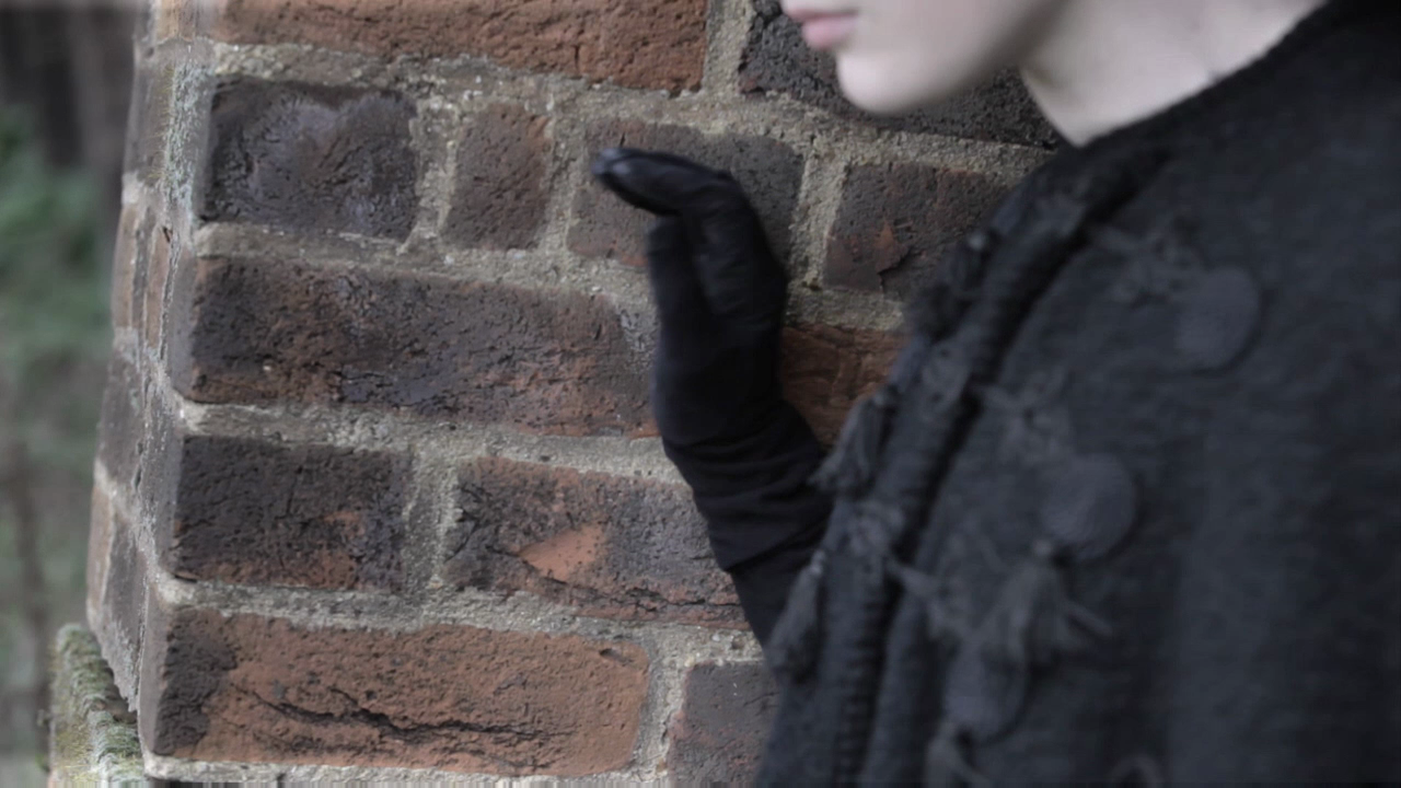 The Painted Bridge, the story of a Victorian mental asylum