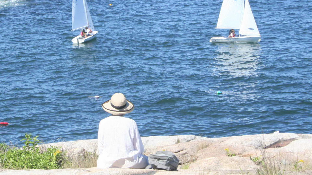 Anita Diamant on THE BOSTON GIRL