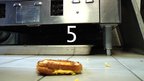 Five Second Rule
