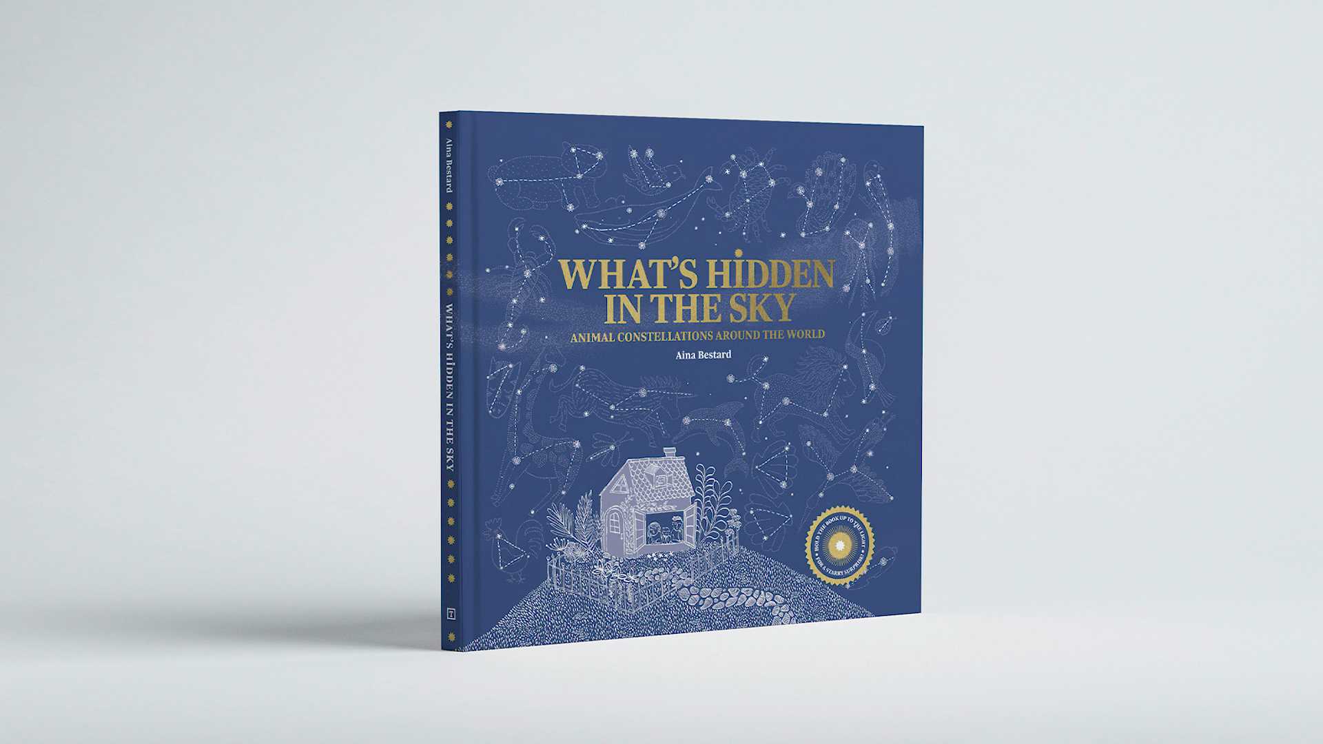 What's Hidden in the Sky | Book Trailer