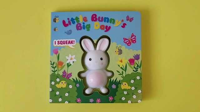 Little Bunny's Big Day