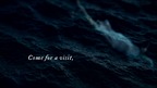 Visit: THE WICKED DEEP Book Trailer