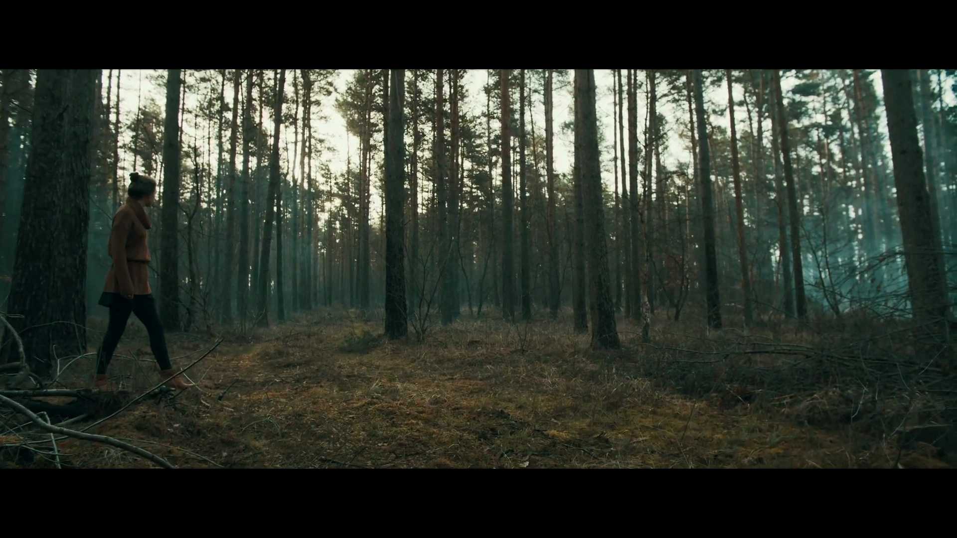 The Skinjacker Trilogy by Neal Shusterman | Book Trailer