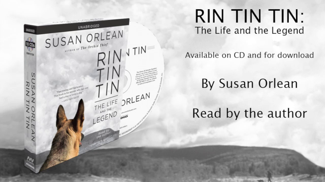 An excerpt from the audiobook, RIN TIN TIN
