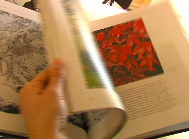 Meet Novelist Santa Montefiore