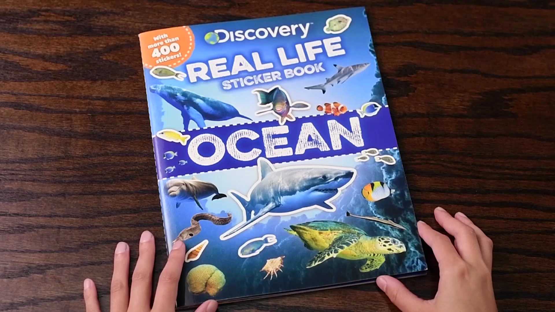 Discovery Real Life Sticker Book: Ocean