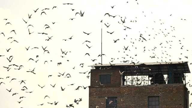 Sadeqa Johnson's Inspiration Behind Yellow Wife