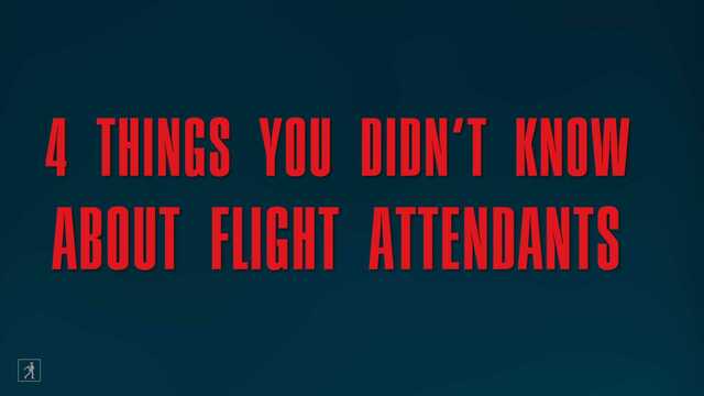 Secrets of Flight Attendants from T.J. Newman