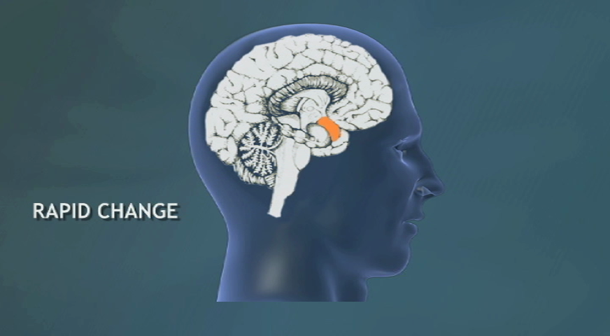 How Brain Chemistry Affects Behavior Change
