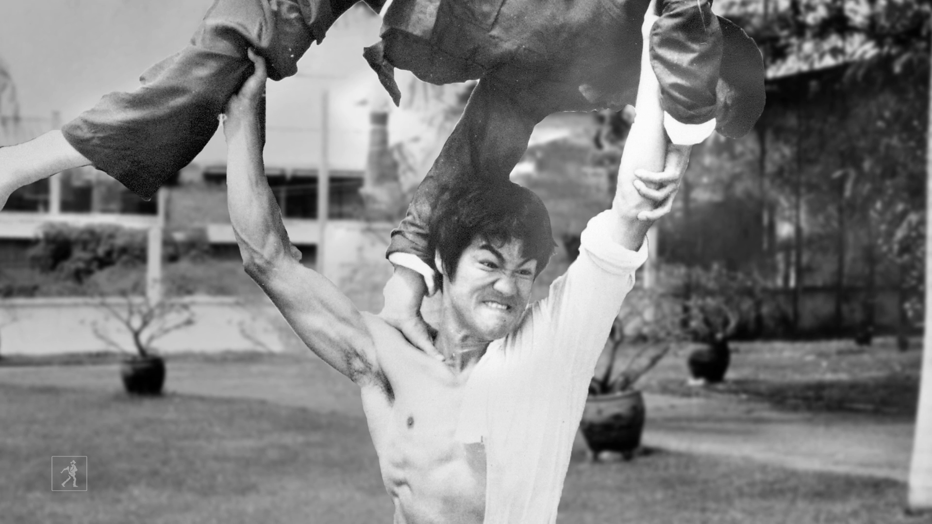 What Type Of Star Would Bruce Lee Have Been?