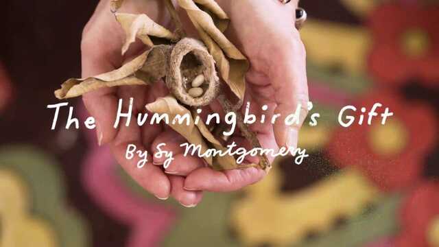 The Hummingbirds' Gift by Sy Montgomery