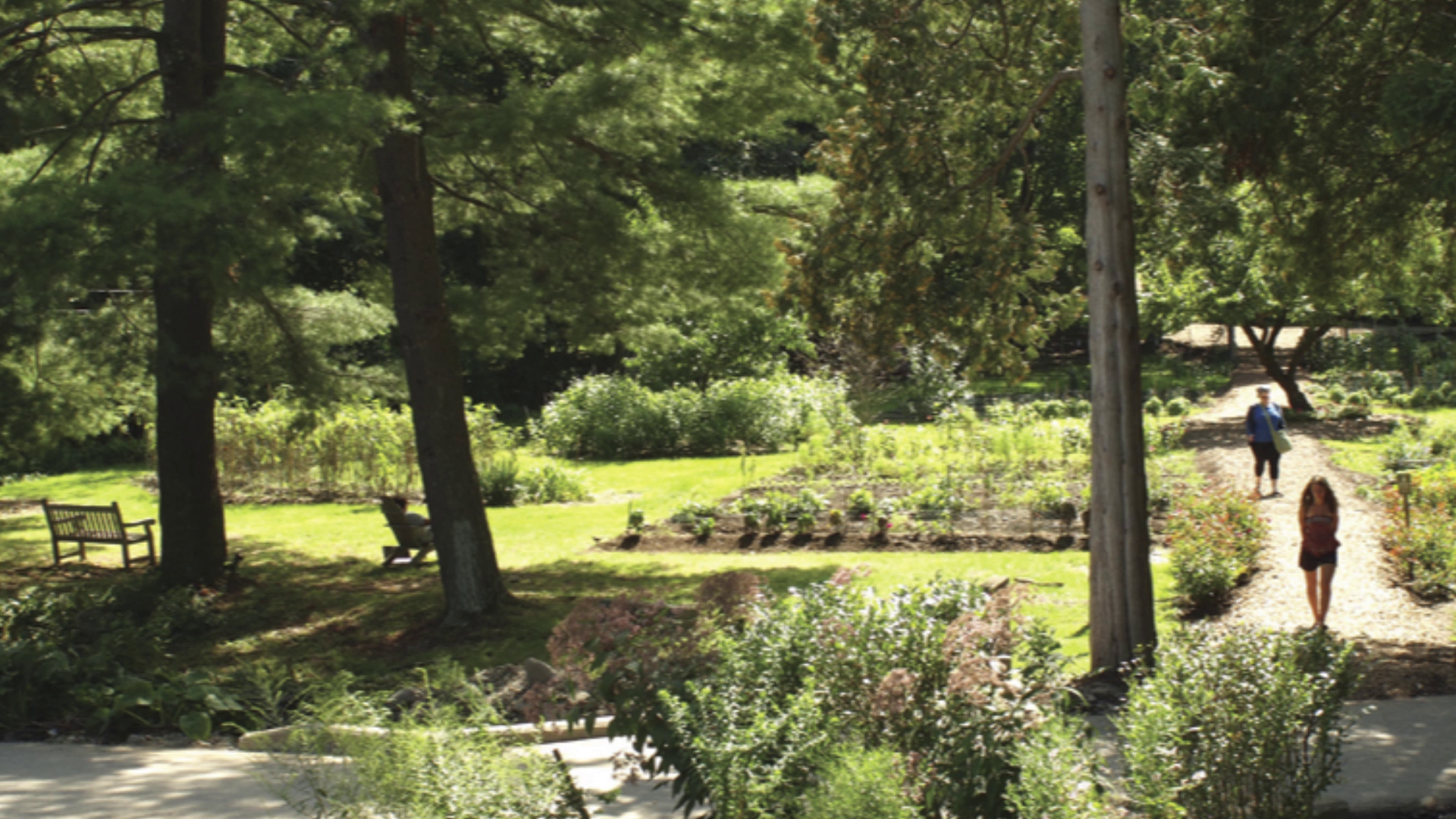 Dan Millman Shares Insights from THE HIDDEN SCHOOL