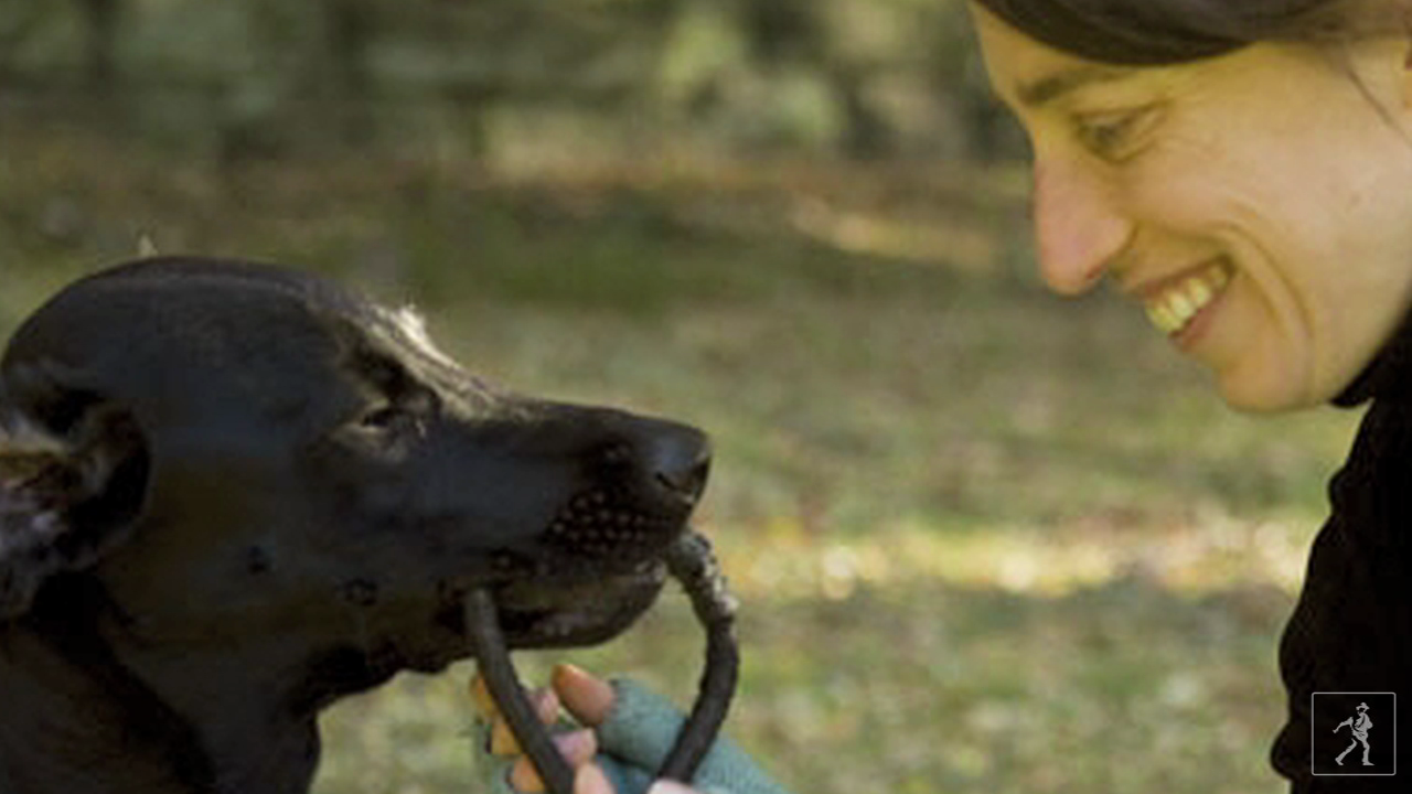 Alexandra Horowitz: Inside of a Dog