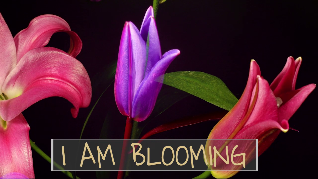 Mantras to Add Positivity to Your Life