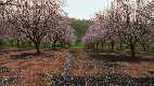 How to Live in the Spring Months | The 4 Season Solution
