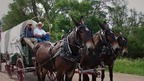 Author Rinker Buck details his modern day crossing of 'The Oregon Trail'