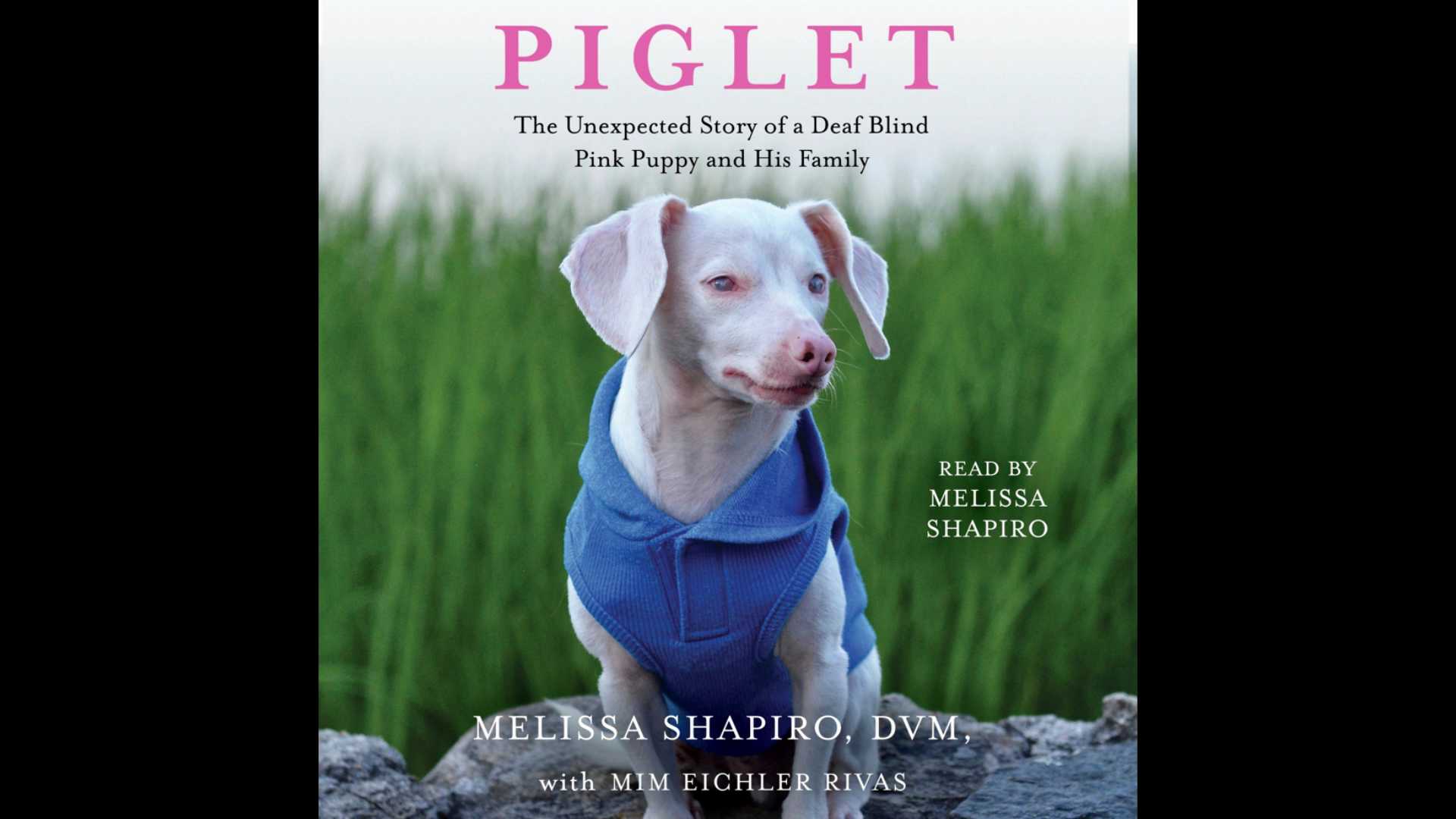 Go Behind-the-Scenes of the PIGLET Audiobook Recording with Melissa Shapiro and Piglet!