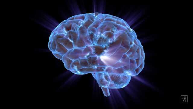 What is a Story Scientist?