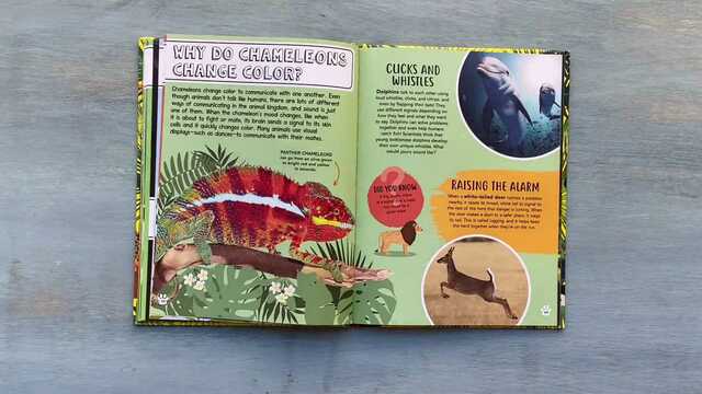 Big Questions for Little People: Animals