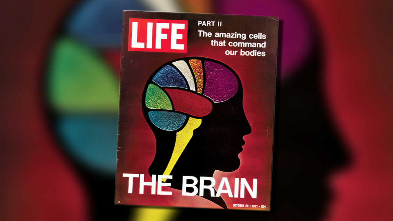 The Trouble with Left/Right Brain